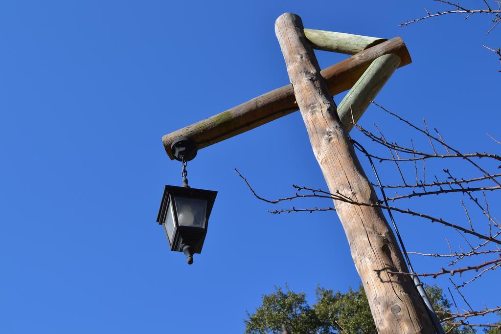 Herdade Do Freixial - Turismo Rural Вила Нова де Милфонтеш Екстериор снимка