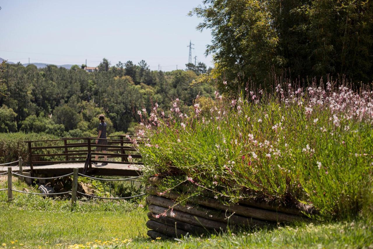 Herdade Do Freixial - Turismo Rural Вила Нова де Милфонтеш Екстериор снимка